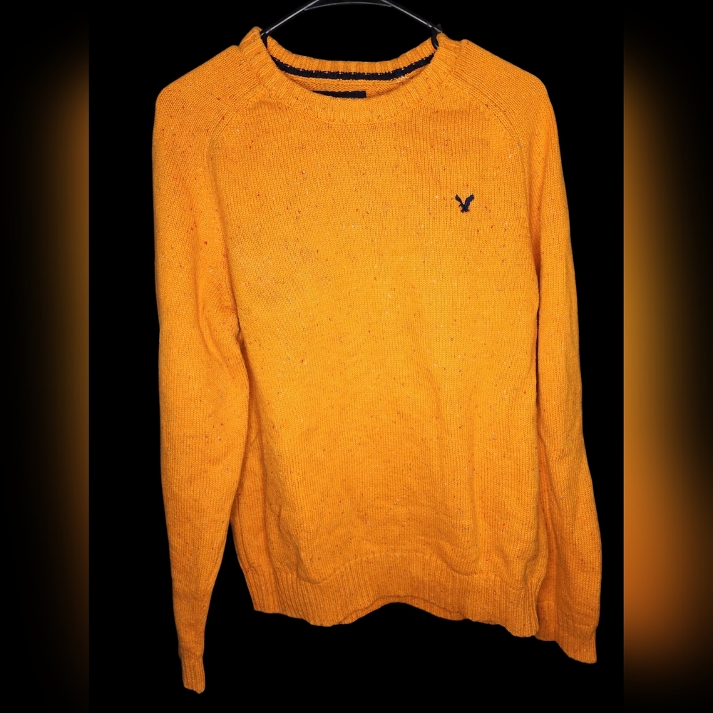 MEN'S American Eagle Sweater . Excellent Used Condition.  Size L